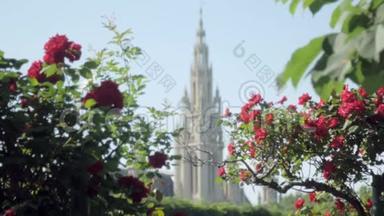 奥地利维也纳市政厅哥特式风格的塔楼，通过城市公园的玫瑰灌木观赏